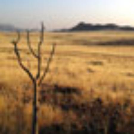 Harish Family Restaurant